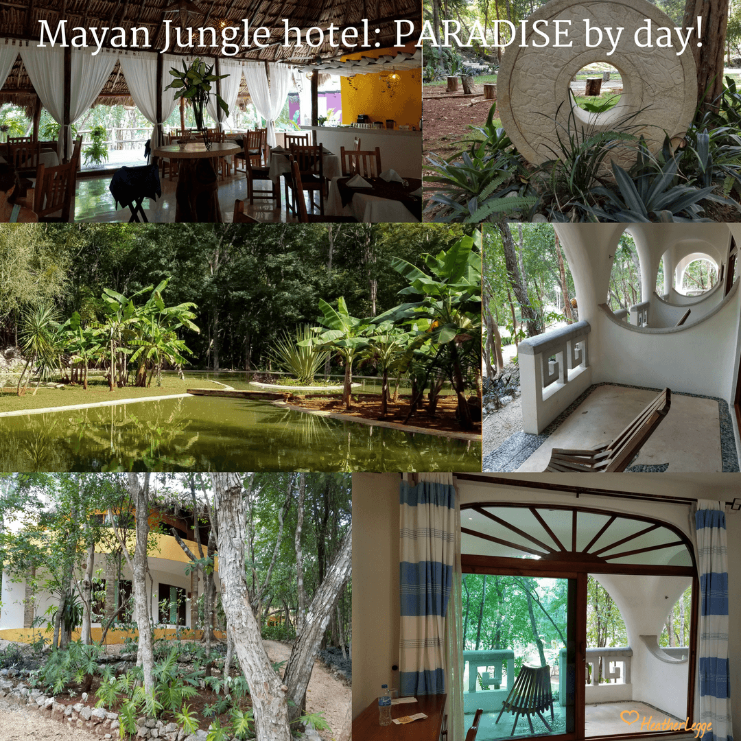 mayan jungle hotel paradise