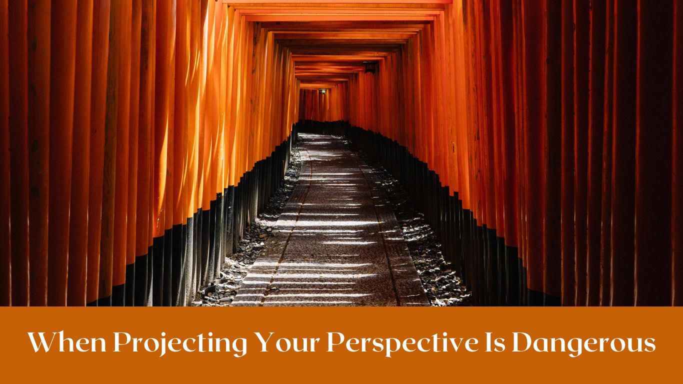 Teri -Projecting Perspectives Blog